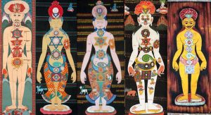 ancient pictures of human chakras show do animals have chakras